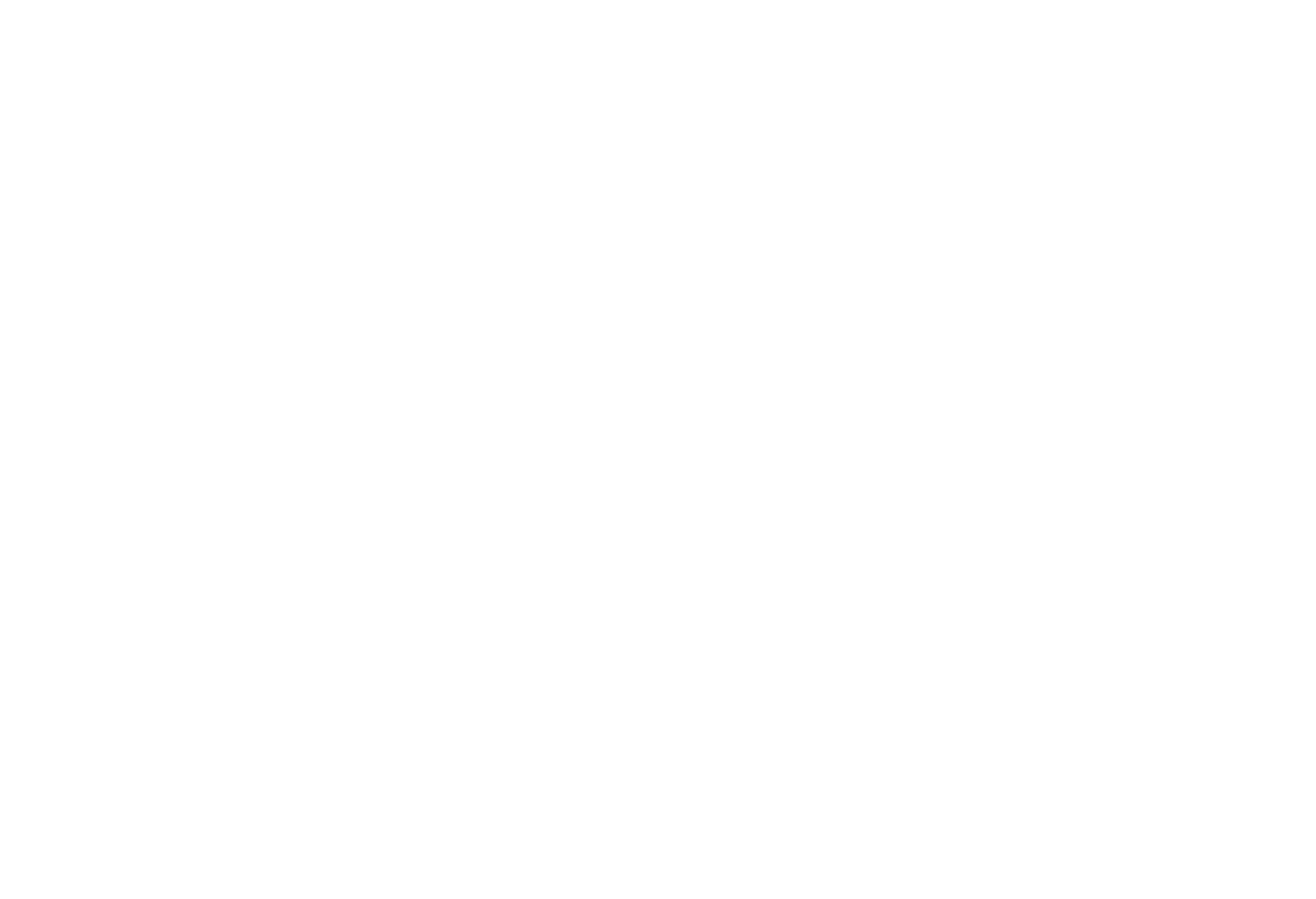 Dealer Attract