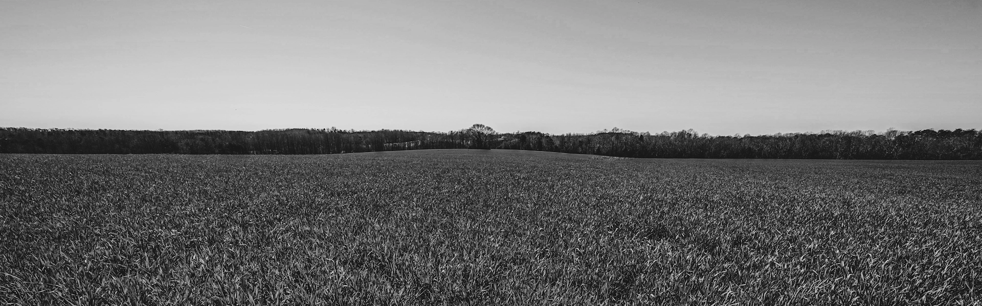 Outdoor Power Equipment